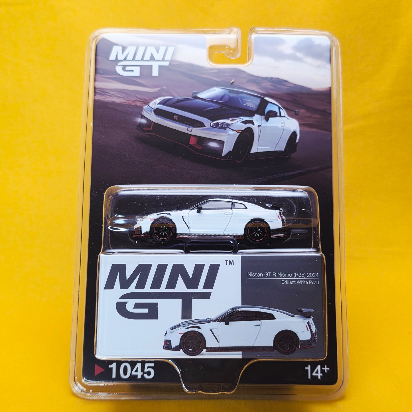 NISSAN SKYLINE GT-R NISMO (R35)